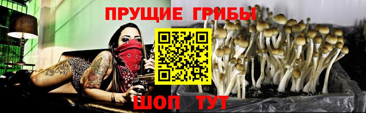 Галлюциногенные грибы GOLDEN TEACHER Полевской