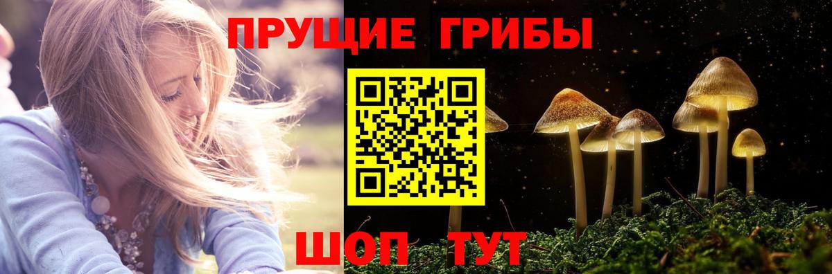 Галлюциногенные грибы мицелий  Вход с VPN  Полевской 